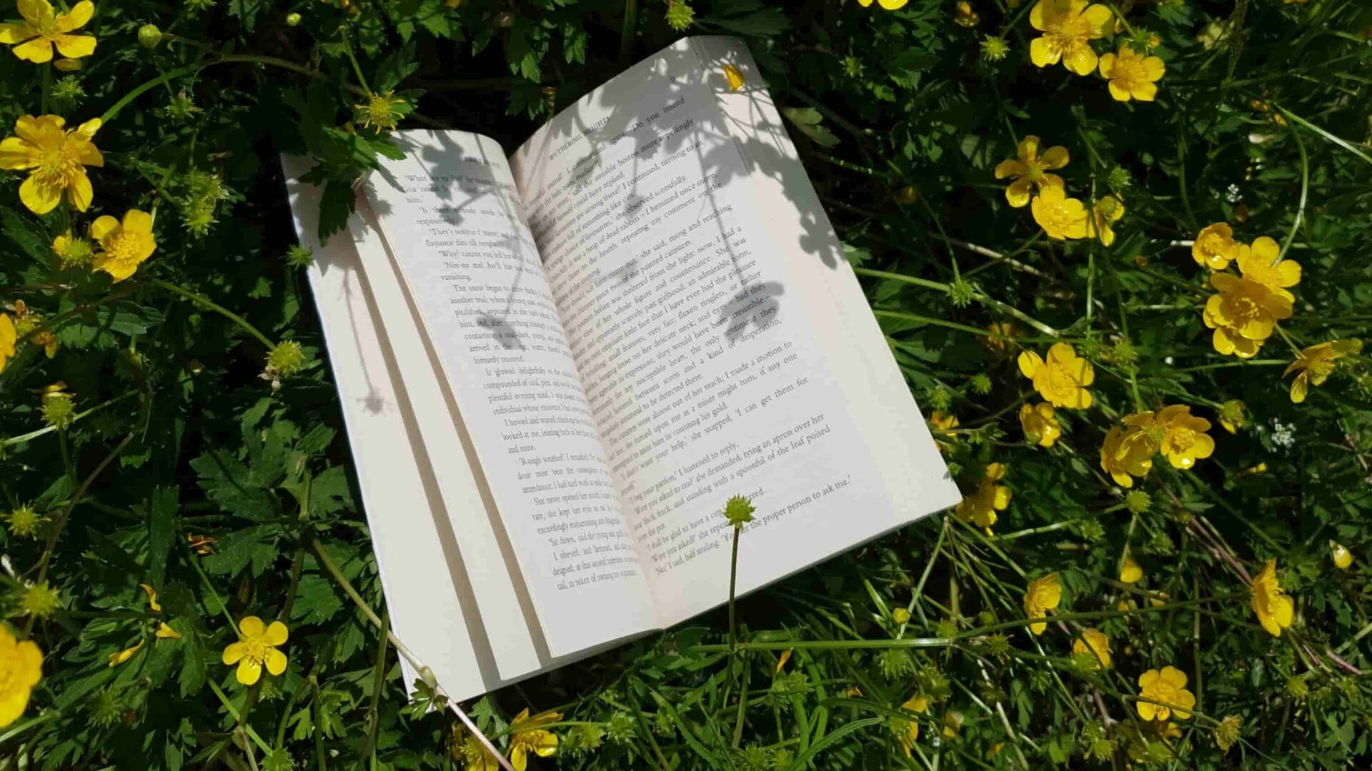 yellow flowers and book